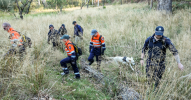 $1 million reward remains open as hundreds scour bush