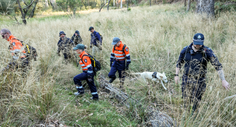 $1 million reward remains open as hundreds scour bush