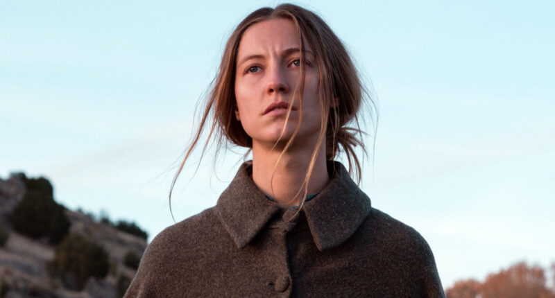 12 Most Underrated Horror Movies Of The 2010s