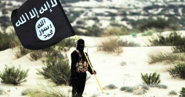 15 arrested on suspicion of allegedly spreading ISIS propaganda on TikTok