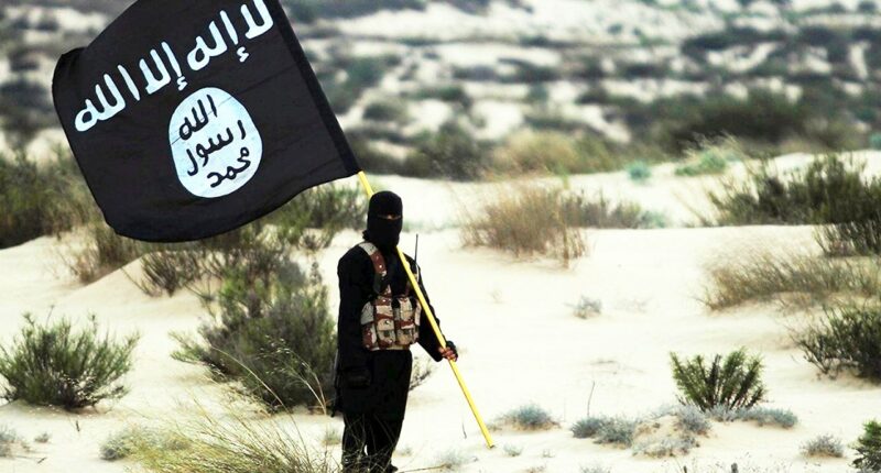 15 arrested on suspicion of allegedly spreading ISIS propaganda on TikTok