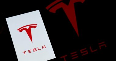Tesla reports historic revenue slump