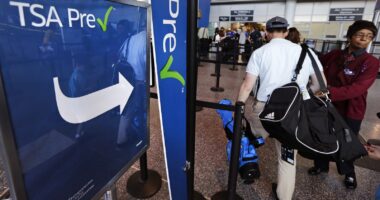 Homeland Security suspends TSA PreCheck and Global Entry airport security programs