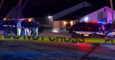 2 siblings found dead in Apopka store was ‘domestic murder–suicide,’ police say