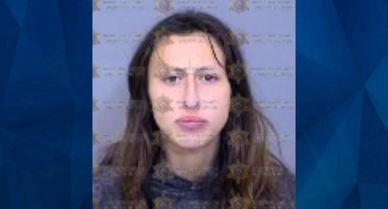 23-Year-Old Woman Kidnaps Toddler She Believes Is Her ‘Long-Lost Child’