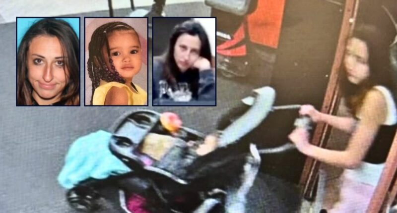23-year-old woman abducted toddler she thought was her 'long-lost child,' claimed the 2-year-old was taken from her at hospital after being born, cops say