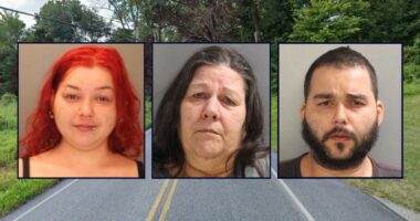 3 adults locked children in 'crib cage' and car seat for at least 20 hours a day, kept them at home for years and let their teeth rot, authorities say