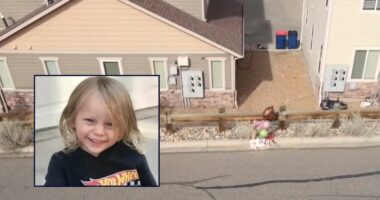 3-year-old killed by driver while making videos with older kids near embankment, mom questions if her 'baby boy' was somehow 'put up there': Cops
