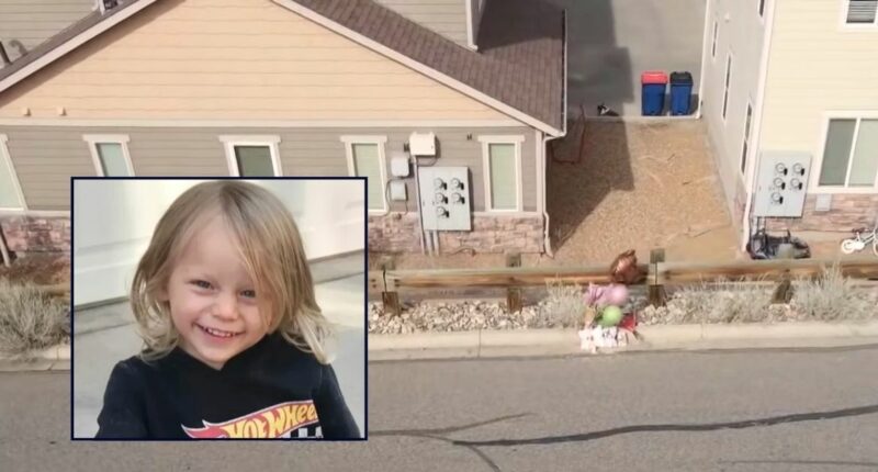 3-year-old killed by driver while making videos with older kids near embankment, mom questions if her 'baby boy' was somehow 'put up there': Cops