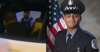 5th Chicago Police Department tactical team member, Richard Rodriquez Jr. stripped of powers over traffic stop-turned-search
