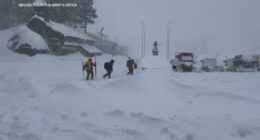 6 backcountry skiers rescued, 8 dead, 1 missing after avalanche near Donner Pass in Sierra Nevada, California: officials
