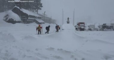 6 backcountry skiers rescued, 8 dead, 1 missing after avalanche near Donner Pass in Sierra Nevada, California: officials