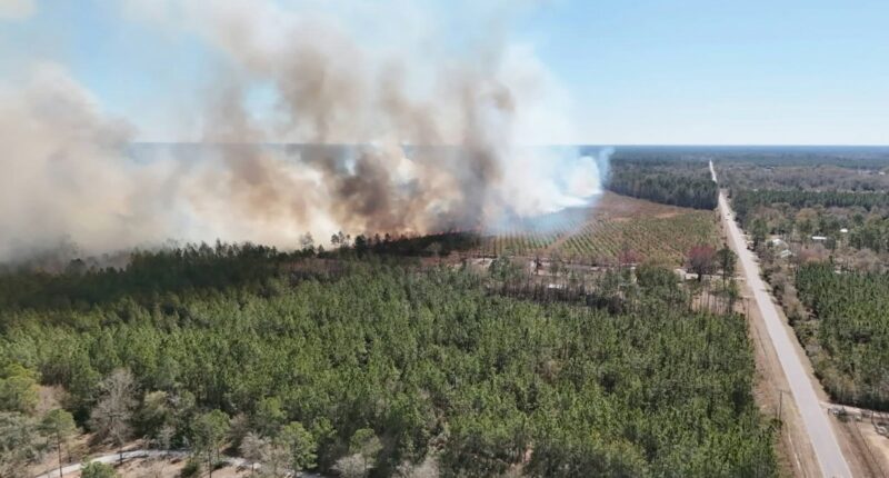 70-acre wildfire in Hilliard is now 50% contained, officials say