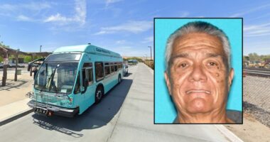 78-year-old followed mother with 5-year-old child as they rode bus from stop to stop, tried to get them inside his pickup truck: Police