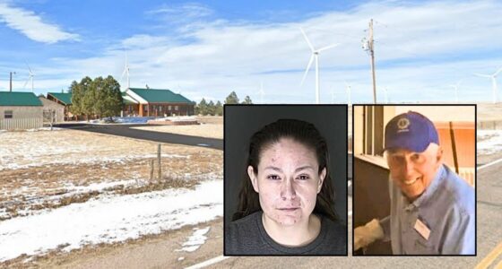 79-year-old grandpa cutting grass on lawn mower hit by stoned Subaru driver and sent 'flying' to his death while wife was 'watching him' through window: Cops