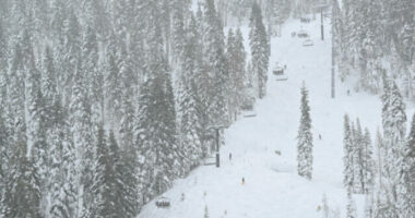 8 Skiers Buried Alive in Lake Tahoe Avalanche: 'Deadliest in U.S. History'
