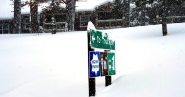 8 skiers found dead, 1 missing after massive Lake Tahoe avalanche