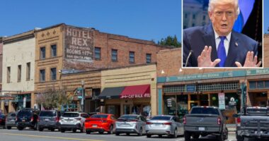 800 small businesses demand refunds after Supreme Court decision