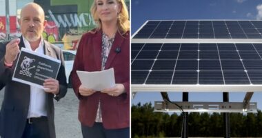 $900M taken from solar panel program and pumped into Dem. voting activism, CAL DOGE claims