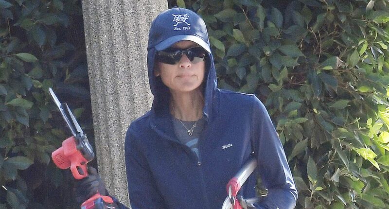 90s TV star caught putting up anti-ICE signs near her $2M LA home