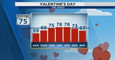 A picture-perfect Valentine’s Day across Central Florida