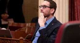 A policy wonk who wants Nancy Pelosi's House seat is unafraid of a fight