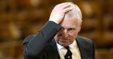 A stark warning to the Palace that Andrew had been playing with fire