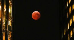 A total lunar eclipse will turn the moon blood red on Tuesday across several continents