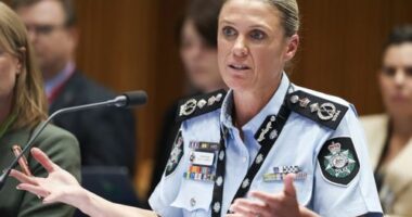 AFP 'hate disrupter squads' launched amid 'poisoning' of kids' minds