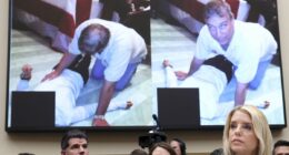 ANDREW PIERCE: Could Andrew Mountbatten‑Windsor become the first royal to go to prison?