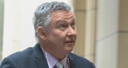 Accused murderer Greg Lynn makes bid for freedom