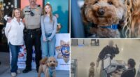 Adorable pup ditched at Las Vegas airport by heartless traveler gets new home with cop who rescued him