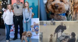 Adorable pup ditched at Las Vegas airport by heartless traveler gets new home with cop who rescued him