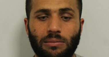 Afghan migrant who repeatedly punched woman in random attack dies