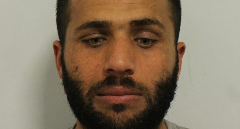 Afghan migrant who repeatedly punched woman in random attack dies