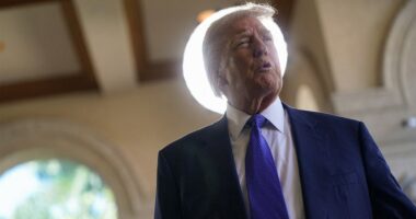 Agitator arrested on battery charge outside Trump's West Palm Beach golf course