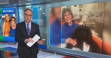 Ailing CNN enjoys huge rating boom amid Nancy Guthrie coverage