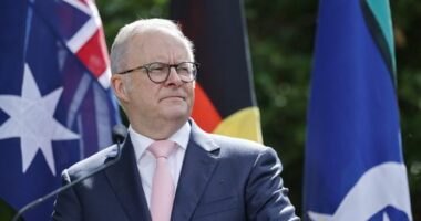 Herzog was invited by Prime Minister Anthony Albanese, but it has not been confirmed which politicians the Israeli President will meet during his visit.