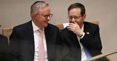 Albanese joins Herzog at Bondi memorial after second night of protests