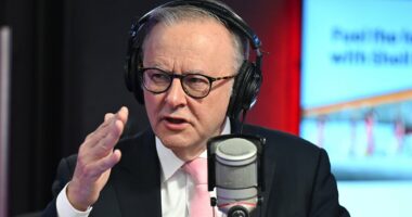 Albo breaks silence on Andrew Mountbatten-Windsor's 'fall from grace'