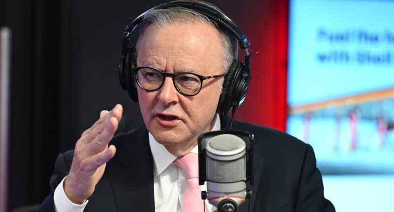 Albo breaks silence on Andrew Mountbatten-Windsor's 'fall from grace'