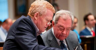 Alex Murdaugh attorney argues state Supreme Court should overturn guilty verdict