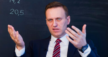 Alexei Navalny was poisoned by the Kremlin with dart frog toxin, European nations say