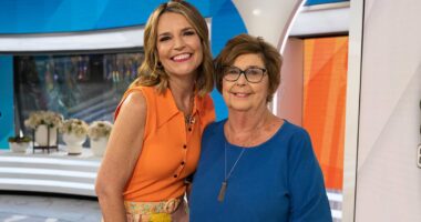 All the evidence in the Nancy Guthrie case amid ongoing search