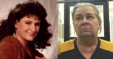 Alleged criminal history of missing mom found after 24 years catches up with her