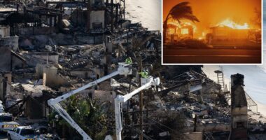 Altadena residents in Eaton fire zone oppose against SoCal Edison plan for expensive underground power lines