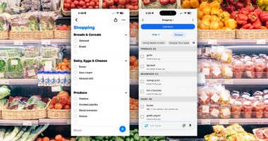 Amazon’s Alexa app is so bad I’m using Siri again