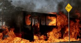 American tourists left stranded in Mexico hotspot as cartels burn cars