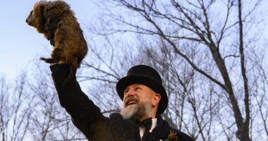 Americans sick of cold see Punxsutawney Phil make VERY grim prediction
