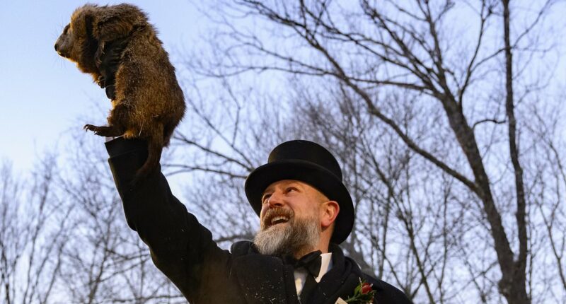 Americans sick of cold see Punxsutawney Phil make VERY grim prediction